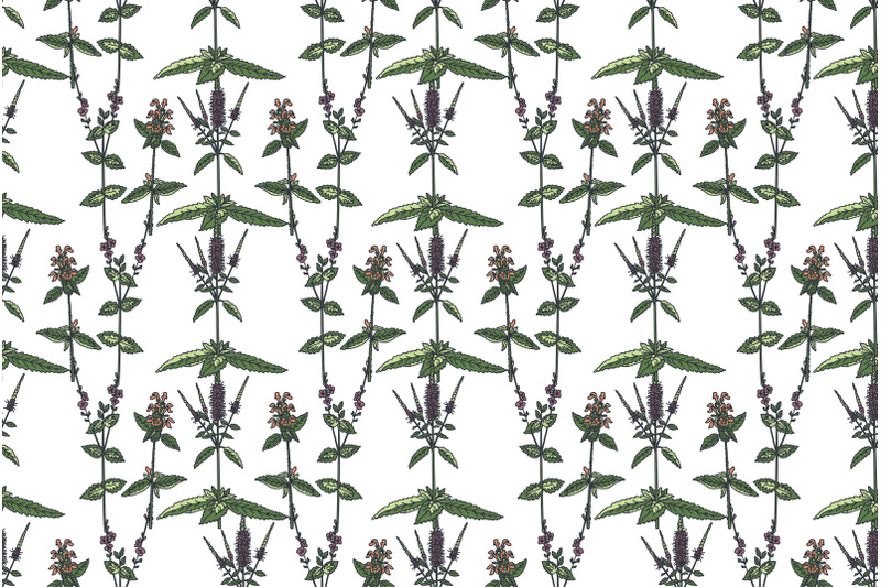 botanical-floral-seamless-pattern-with-wildflowers-vector-illustration