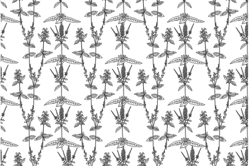 line-art-botanical-floral-seamless-pattern-with-wildflowers-vector