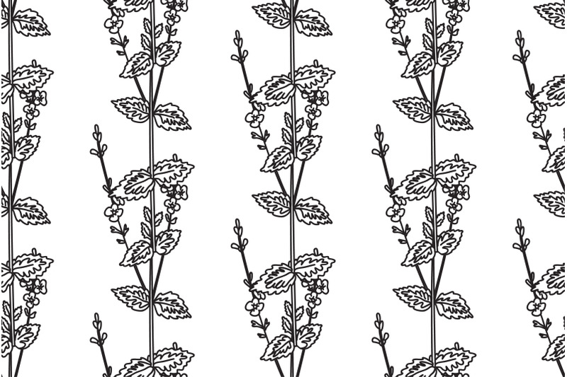 line-art-botanical-floral-seamless-pattern-with-wildflowers-vector