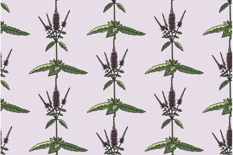 botanical-floral-seamless-pattern-with-wildflowers-vector-illustration