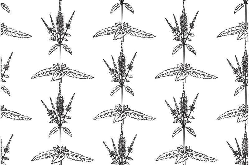 line-art-botanical-floral-seamless-pattern-with-wildflowers-vector
