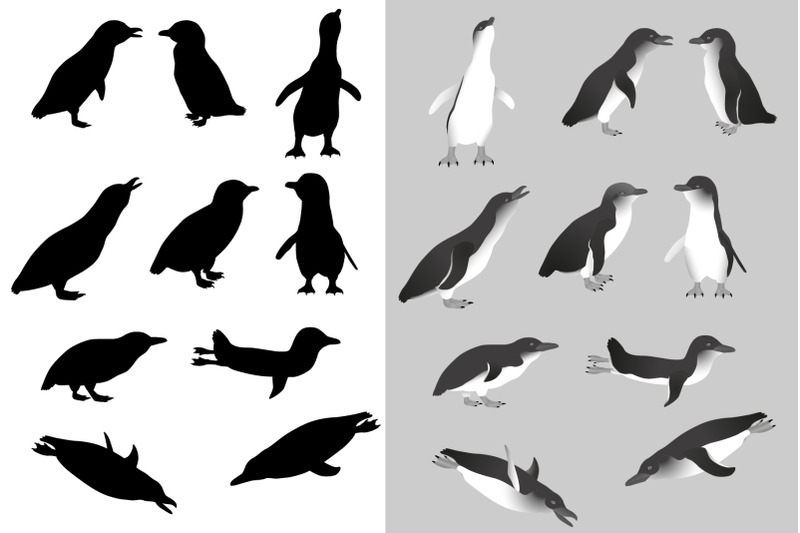 little-penguin-silhouette-and-black-white