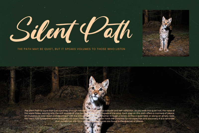 routine-oldnight-modern-brush-font