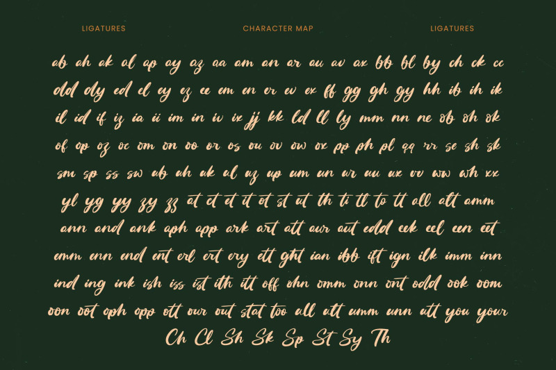 routine-oldnight-modern-brush-font