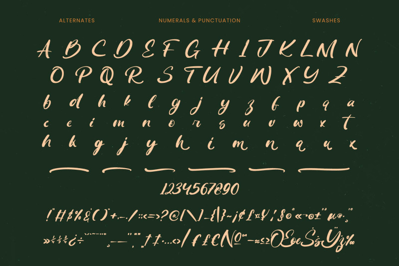 routine-oldnight-modern-brush-font