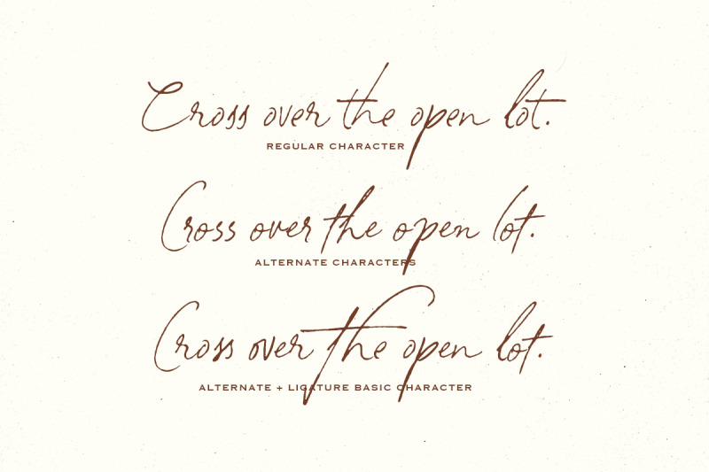 south-assign-vintage-inspired-font