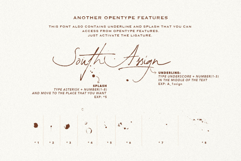 south-assign-vintage-inspired-font