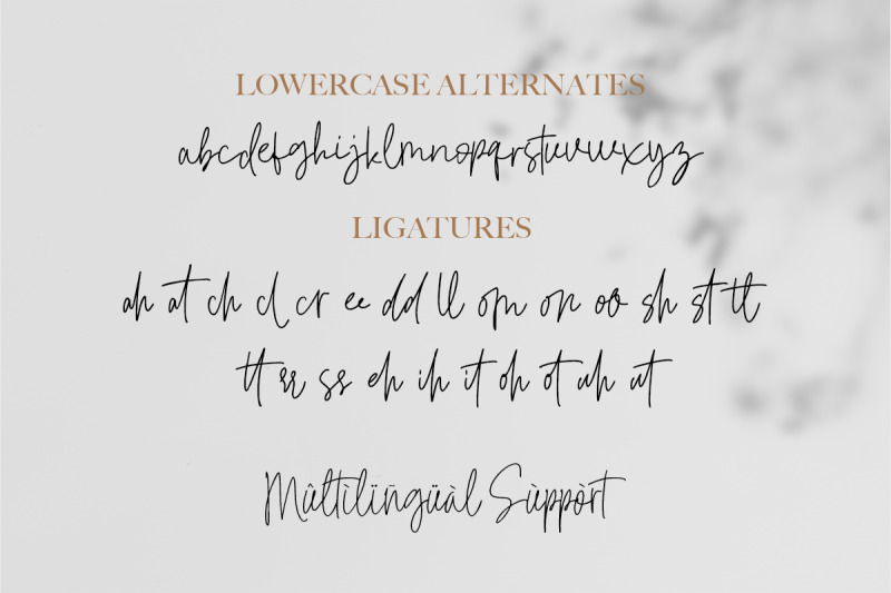 signatural-handwritten-font