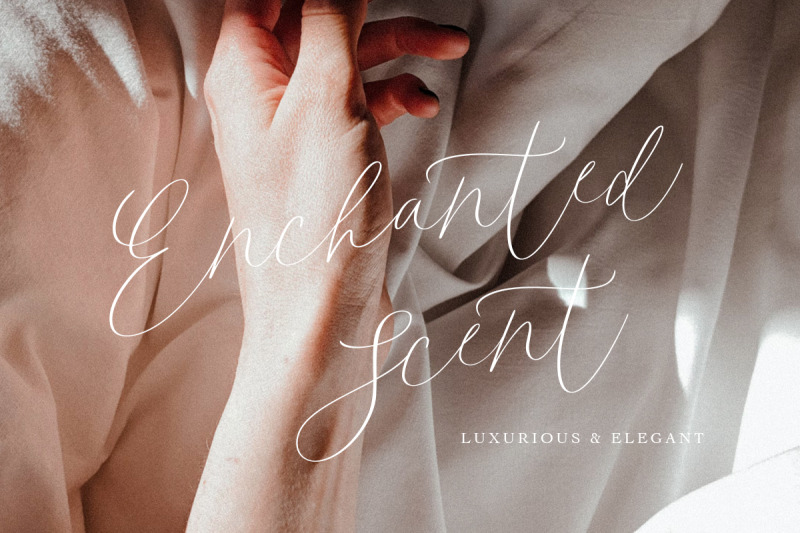 adeline-modern-light-calligraphy