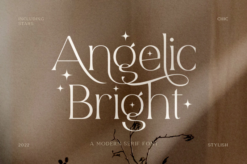 angelic-bright-modern-serif-font