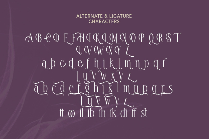 honey-promise-stylish-tall-serif