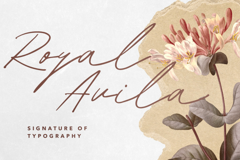 diana-william-elegant-signature