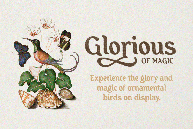 sprinkle-beauty-display-bold-font