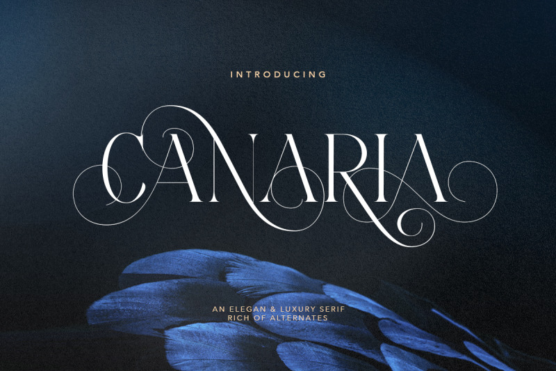 canaria-fancy-light-serif