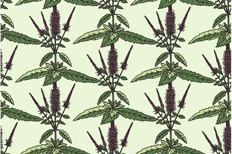 botanical-floral-seamless-pattern-with-peppermint-vector-illustration