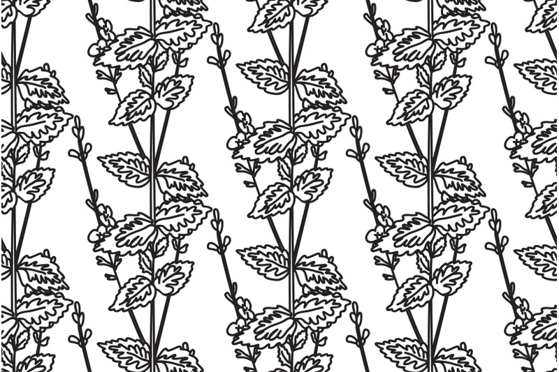 line-art-botanical-floral-seamless-pattern-with-wildflowers-vector