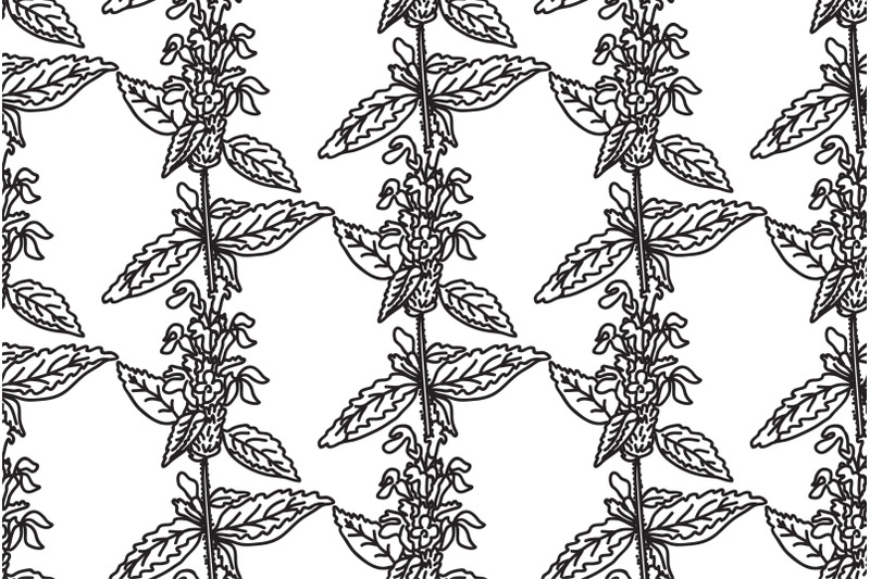 line-art-botanical-floral-seamless-pattern-with-wildflowers-vector-ill