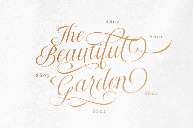 radiate-stylish-wedding-script