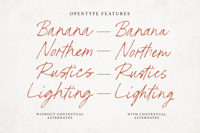 north-stains-minimalist-script