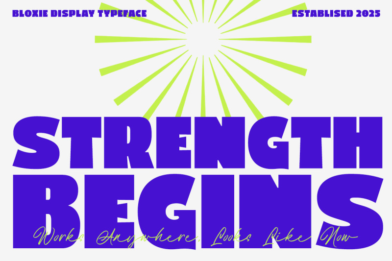 bloxie-bold-display-font