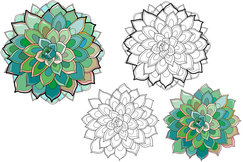 succulents-for-coloring-pages