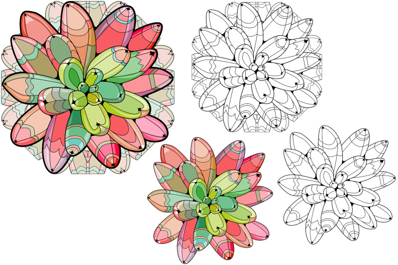 succulents-for-coloring-pages