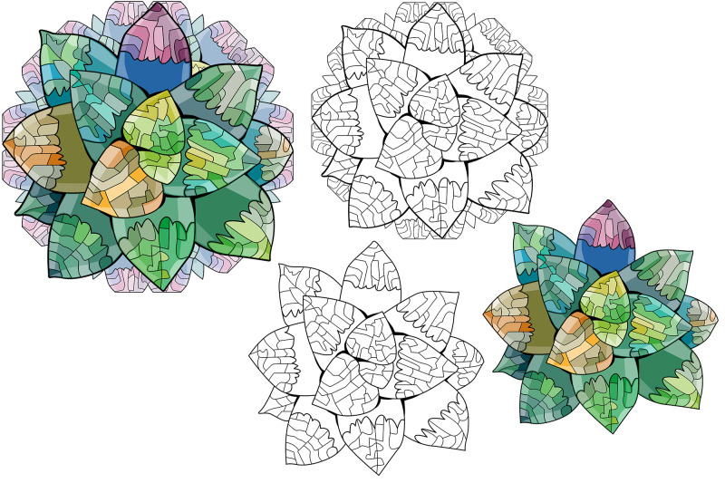 succulents-for-coloring-pages