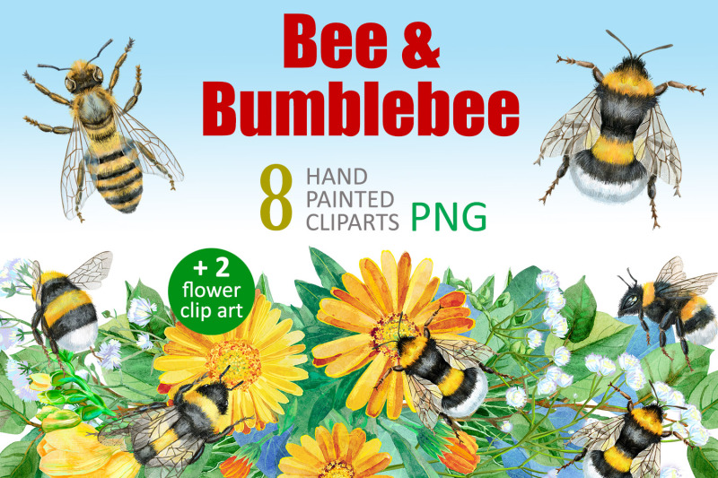 watercolor-bees-and-bumblebees