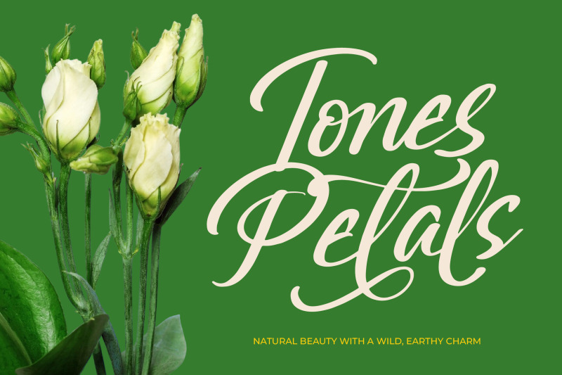 greatesa-brought-bold-calligraphy-font