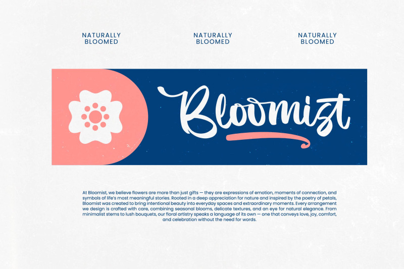 imagine-sunday-bold-handwritten-font