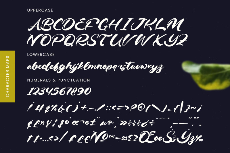 drink-south-bold-calligraphy-font