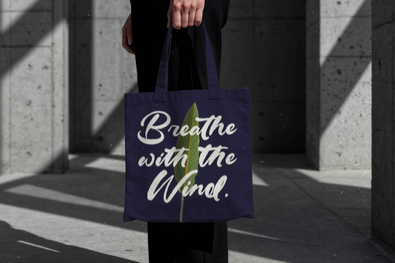 drink-south-bold-calligraphy-font
