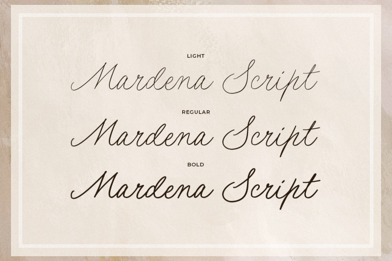 mardena-casual-handwritten-script