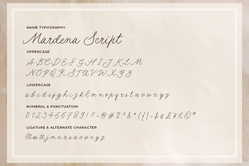 mardena-casual-handwritten-script