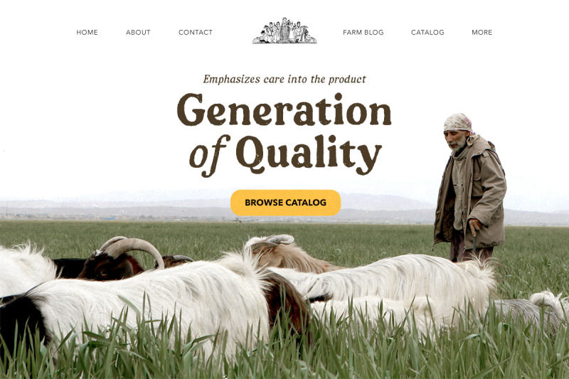 fortnight-handwritten-serif-family