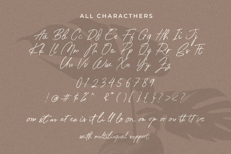western-risk-handwritten-script