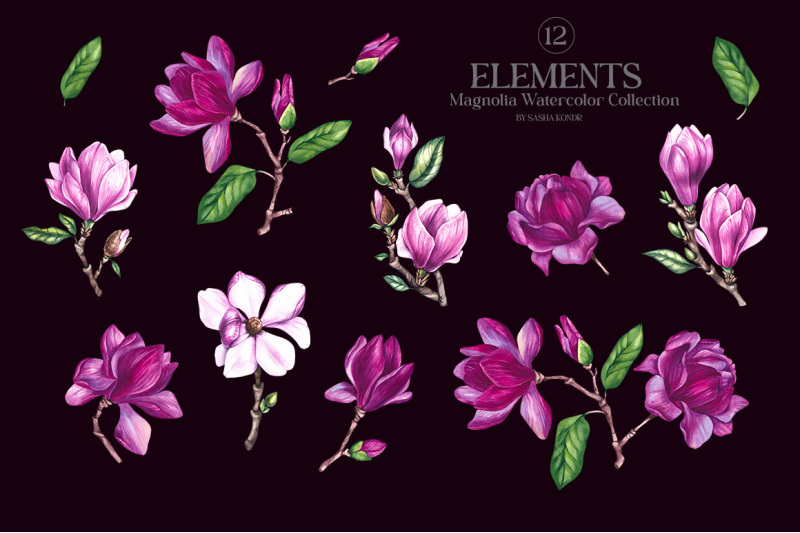 magnolia-png-watercolor-flowers