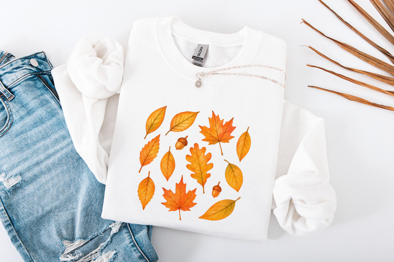 autumn-leaves-watercolor-png-fall-leaf-clipart-hand-drawn-botanical