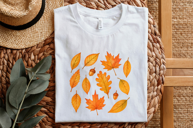 autumn-leaves-watercolor-png-fall-leaf-clipart-hand-drawn-botanical