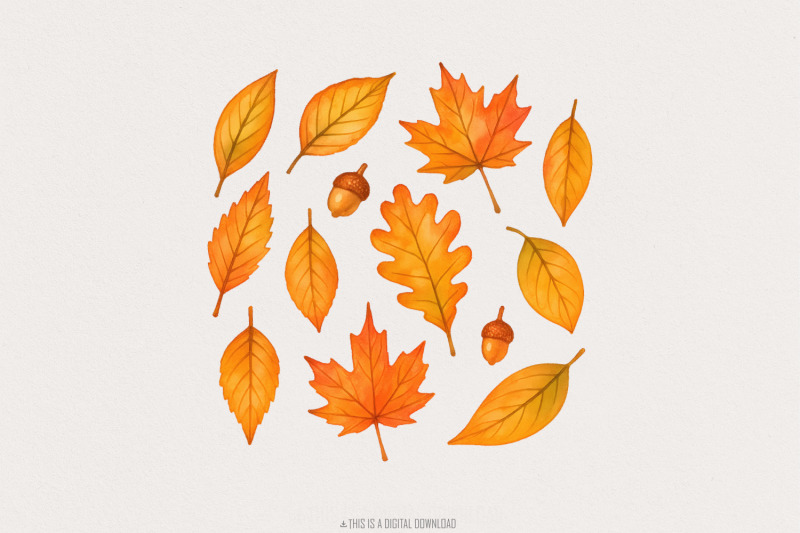 autumn-leaves-watercolor-png-fall-leaf-clipart-hand-drawn-botanical