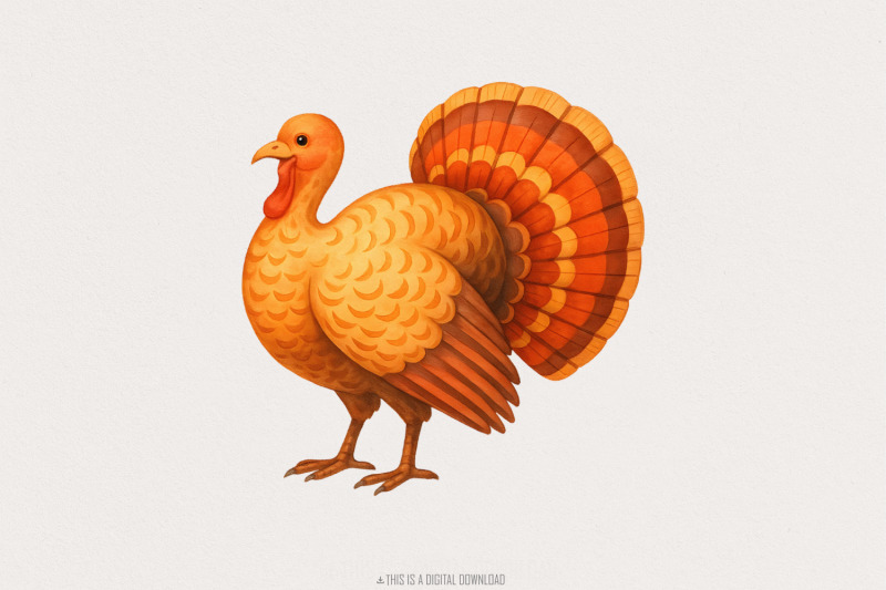 thanksgiving-turkey-png-fall-harvest-turkey-art-autumn-animal-illust