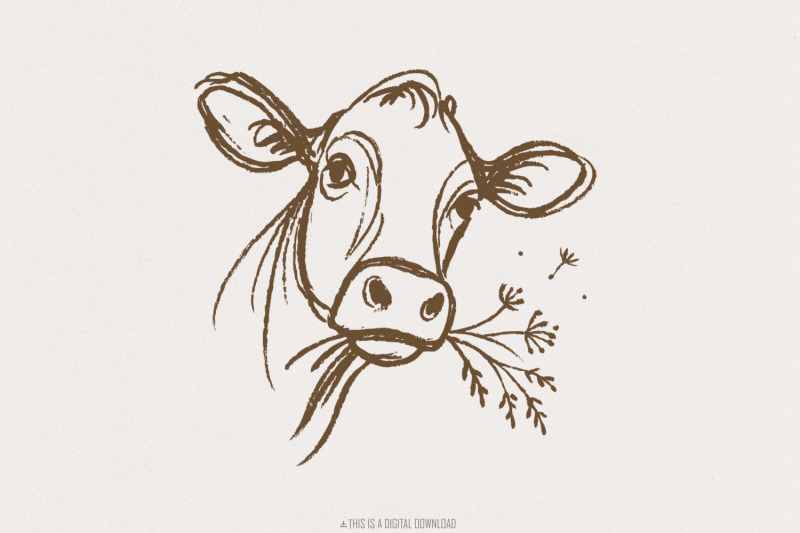highland-cow-png-line-art-rustic-farm-animal-png-vintage-country-cow