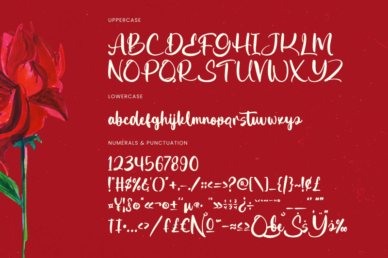 ghatyna-bold-brush-font