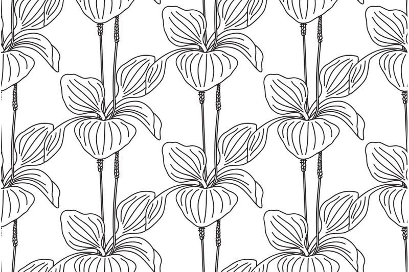line-art-botanical-plantain-bushes-seamless-pattern-vector-illustratio