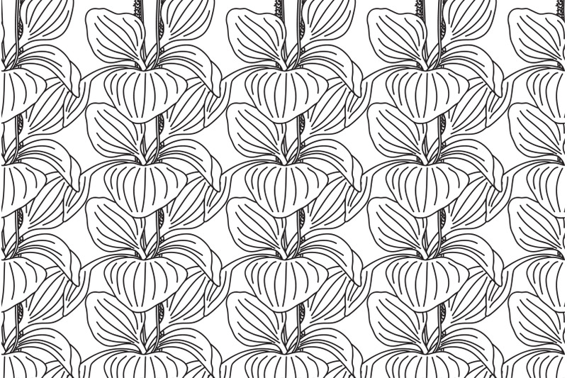 line-art-botanical-plantain-bushes-seamless-pattern-vector-illustratio