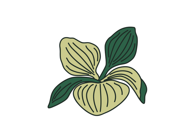botanical-green-leaves-isolated-on-white-background-hand-drawn-leaf