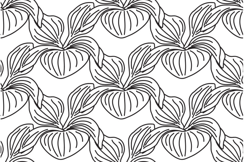 line-art-botanical-plantain-bushes-seamless-pattern-vector-illustratio
