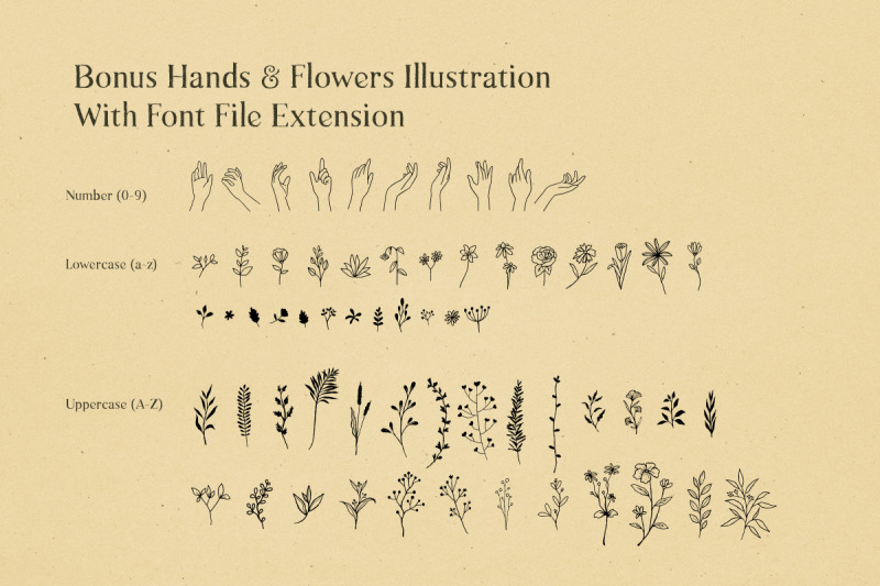 natural-comforts-rough-serif