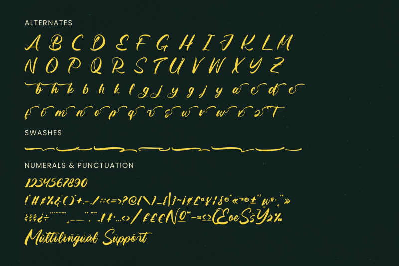 matric-bunker-bold-brush-font