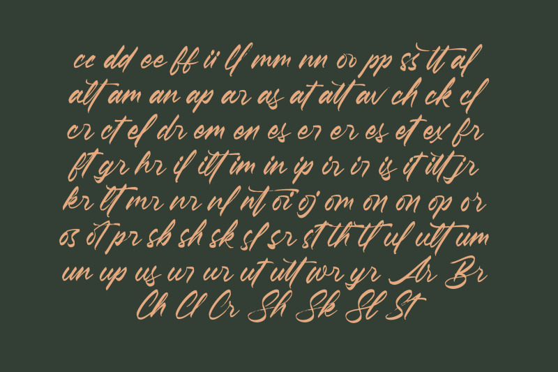 pluretta-vintage-modern-brush-font